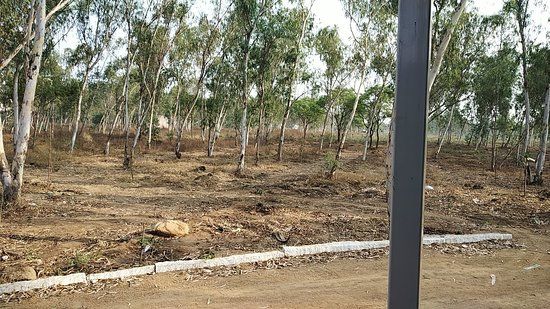 Pala Pitta Cycling Park